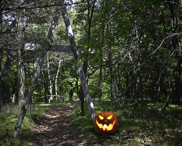 Spooky Trail
