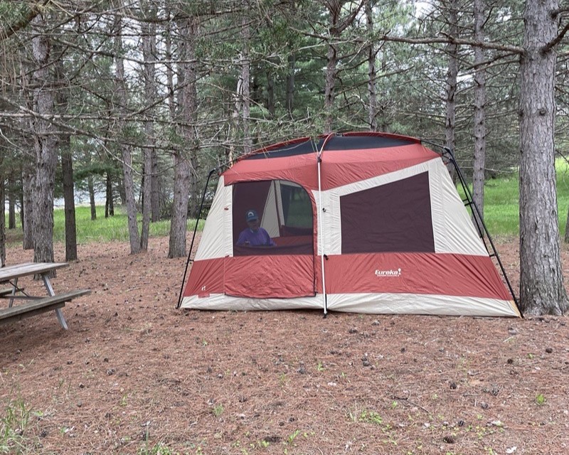 A tent set up in a tree grove